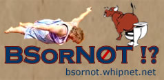 BSorNOT !! Banner