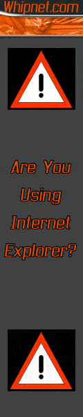 IE Vulnerability