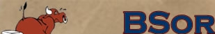 BS Banner BS or Not