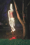 redneck christmas, christmas lights