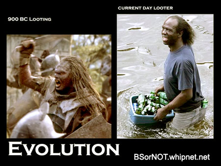 Evolutionary Looter