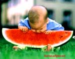 watermelon, melon eating, melon seeds