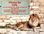 don't feed the animals