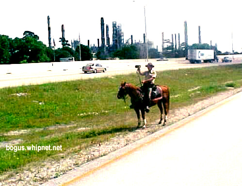 Redneck Highway Patrol, Texas Radar