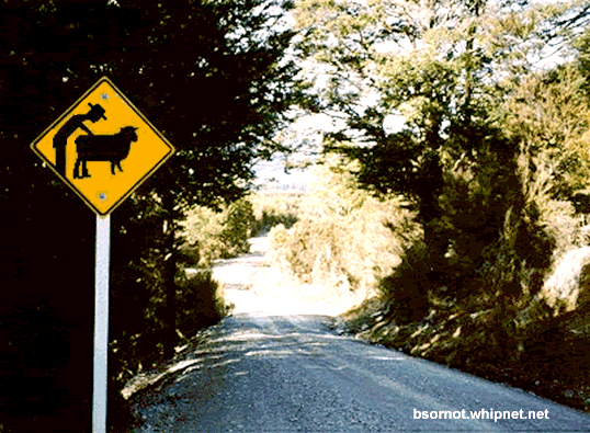 Rednecks Ahead Caution sign, redneck farmer