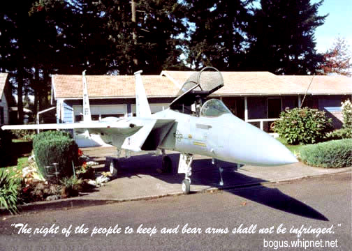home protection, jet fighter at home, war in iraq, right to bear arms