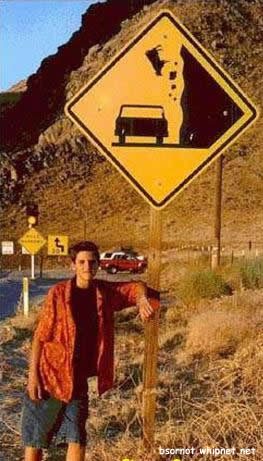 redneck caution signs, falling cows