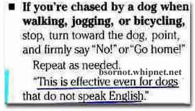 dog speak, chased by dogs
