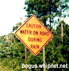 Priceless road sign, water on road