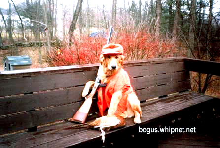 Redneck Hunting Dog