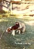 coon dog
