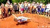 RedNeck Olympics