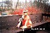redneck hunting dog 