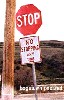 Redneck Stop