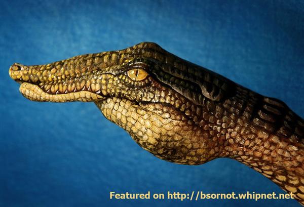 gator, alligator, crocidile body paint