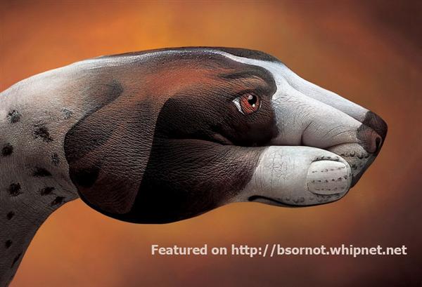 hunting dog hand art, hunting dog finger paint