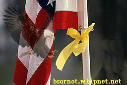 american bald eagle, yellow ribbon, US Flag, Pledge of Alliegiance
