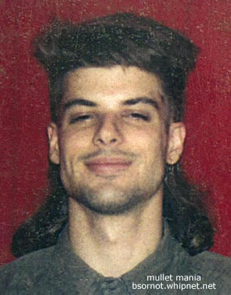 Hippy Mullet