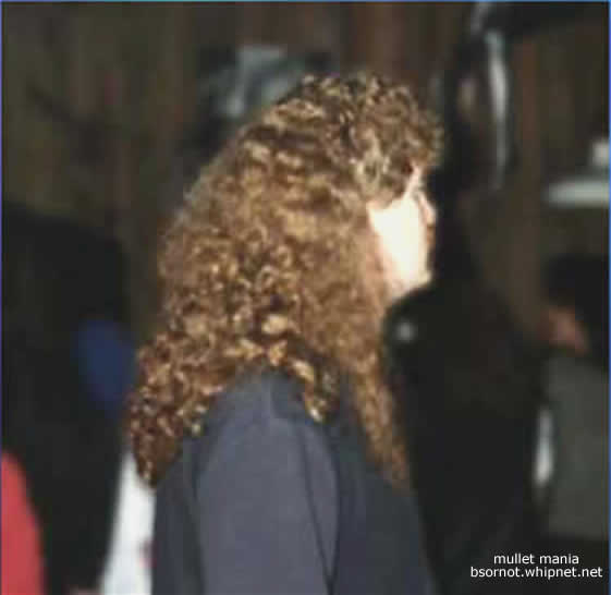 Concert mullet