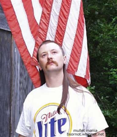 Lite Beer Mullet