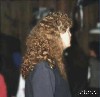 concert goer mullet