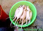 Foriegn Food