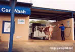 car wash, cow bath, jet wash, steam cleaner, moo, milk