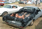 el camino, short bed pool