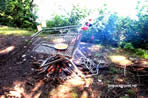 campfire, campsite, open fire, shopping cart, camping