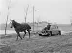 redneck taxi