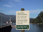dogs can't read
