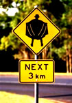 caution, flasher