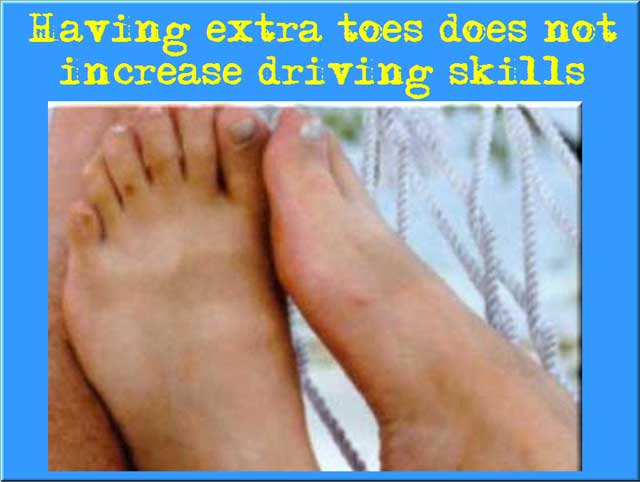 driver safety, women drivers, redneck women drivers, drivers guide