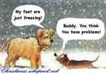 frozen dogs, cold dogs, dogs in snow