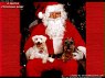 Christmas is a festive time