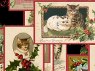 cats and kittens on christmas day