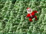 3d santa, christmas trees