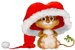 rabbit in santa hat