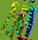 DNA, ethanol data, ethyl alcohol