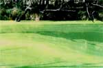 open air algae pond, open-pond algae