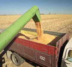 Corn based bio-fuel, ethanol