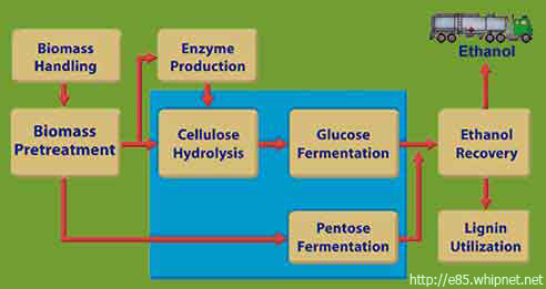 cellulosic, lignin, ethanol production, cellusosic ethanol