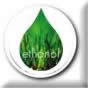 Gasohol Flex Fuel