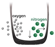 oxygen nitrogen comparison