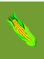 corn ethanol