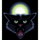 blackcat