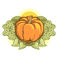 pumpkin patch, fresh pumpkin, clipart
