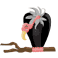 vulture, clipart