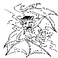 coloring pages, vampire bat