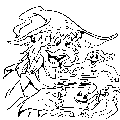 coloring pages, witch